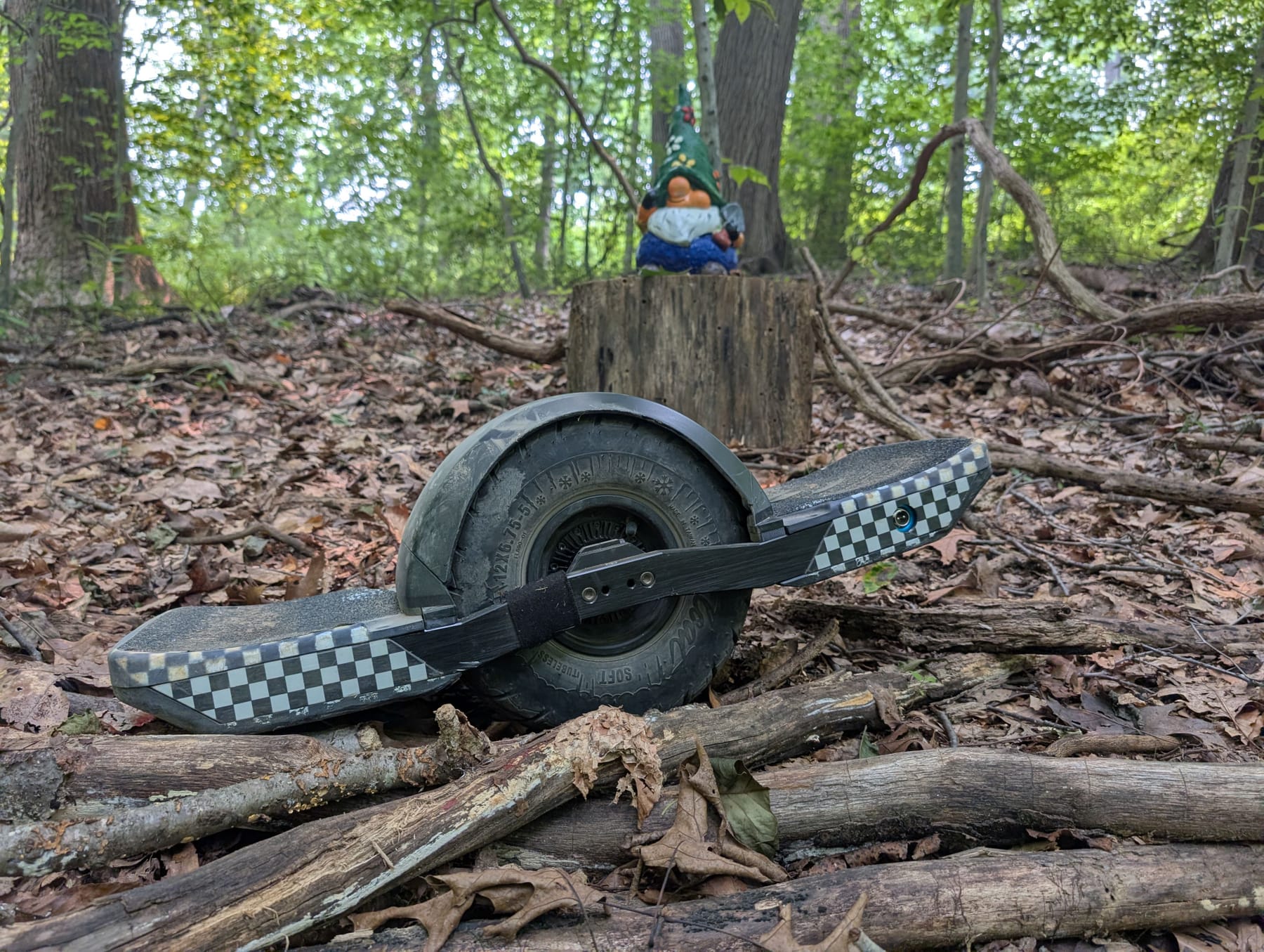 harmony_and_the_trail_gnome.jpg